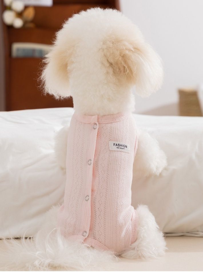https://fulmo-img-server.com/perry-dog/1785375374900_nrvfte1t_9lj3wzk6.jpeg