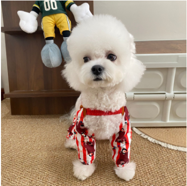 https://fulmo-img-server.com/perry-dog/1787621516890_7tc3ens2_lg90wbnv.png