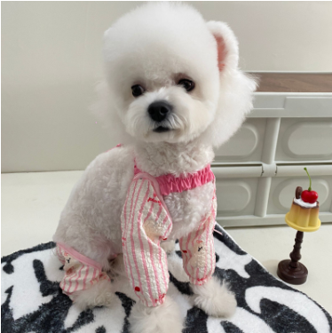 https://fulmo-img-server.com/perry-dog/1787621721962_6ax8k4hq_f0upuel1.png