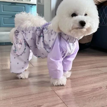 https://fulmo-img-server.com/perry-dog/1787621734788_4f63nc4f_f8u9u783.png
