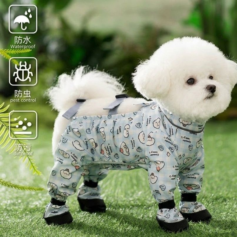 https://fulmo-img-server.com/perry-dog/1787624349998_9fjufwt8_vb0qygps.jpeg