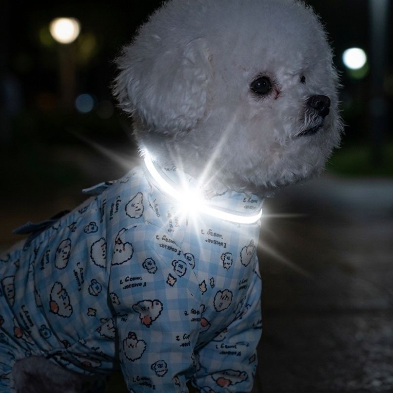 https://fulmo-img-server.com/perry-dog/1787624386715_o0wkyl16_pr8jbc7q.jpeg