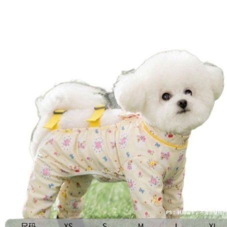 https://fulmo-img-server.com/perry-dog/1787624405859_o1mzettn_udugw2g9.jpeg