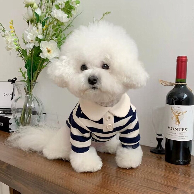 https://fulmo-img-server.com/perry-dog/1787db9e-1490-460f-a1d2-2fc4519a7b79.jpg