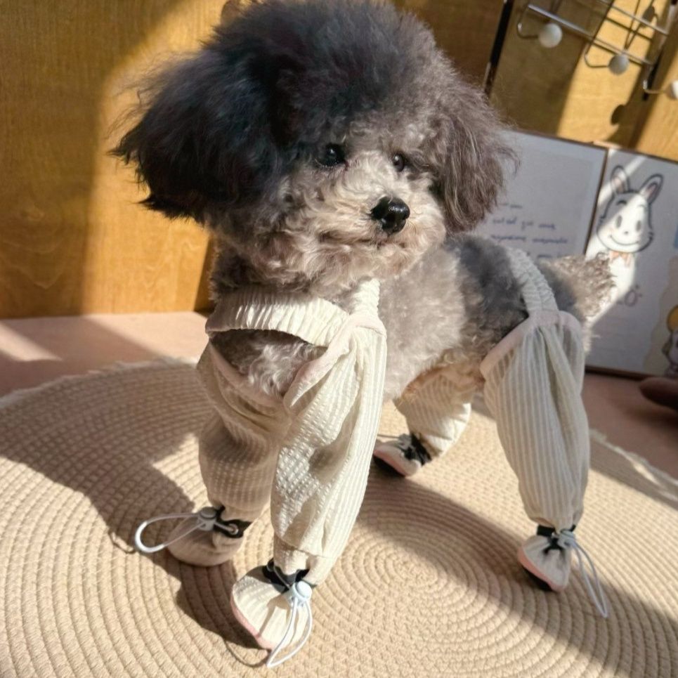 https://fulmo-img-server.com/perry-dog/1790309559353_nhzhq2ls_pys6caw4.jpeg