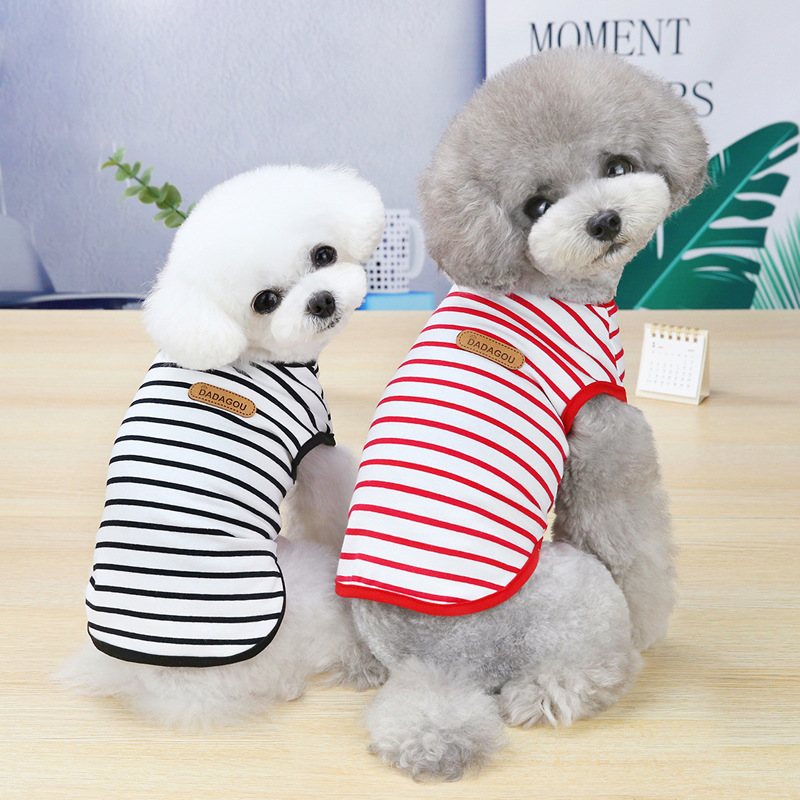 https://fulmo-img-server.com/perry-dog/190d2273-a0c1-4f95-8139-6c560fc731b3.jpg