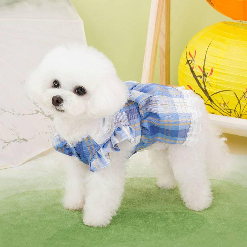 https://fulmo-img-server.com/perry-dog/19d1b0b3-b5b1-4f68-afbd-8959e4a3fa4a.jpg