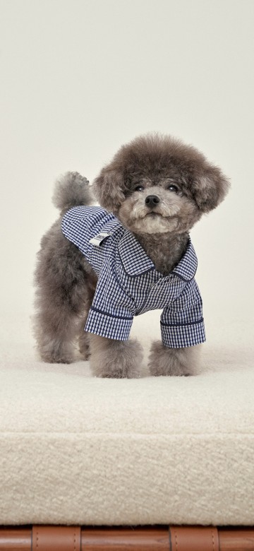 犬服 おやすみ紳士風パジャマ