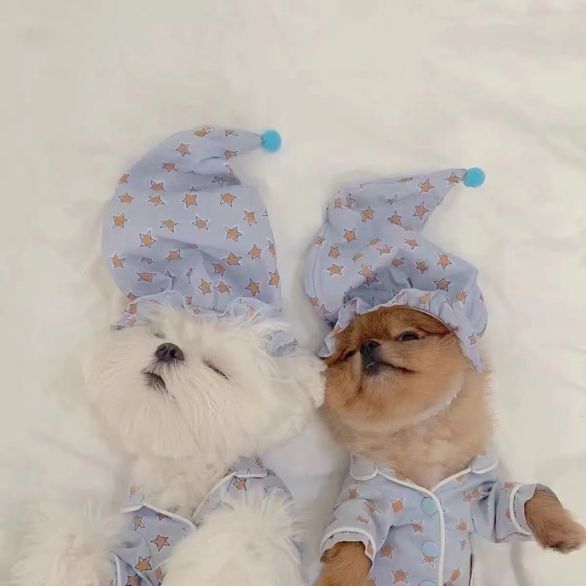 犬服 おやすみ星空おねむパジャマセット