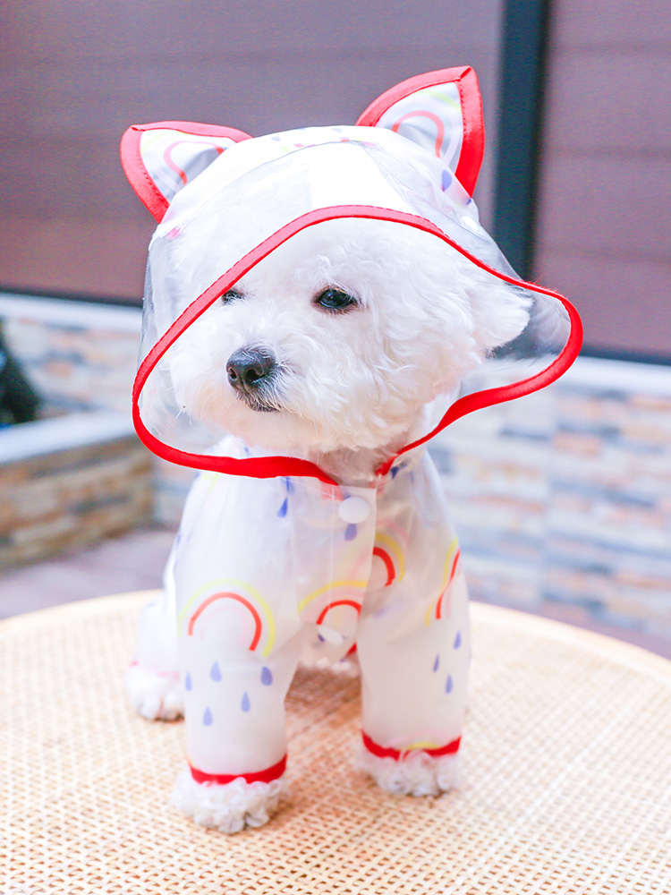 犬服 にじいろうさぎ耳レインコート