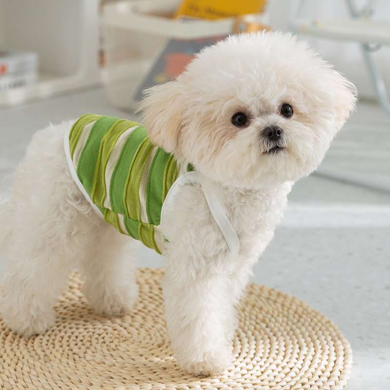 https://fulmo-img-server.com/perry-dog/1acfd3e263d745d4800f2558958fa93e.jpg
