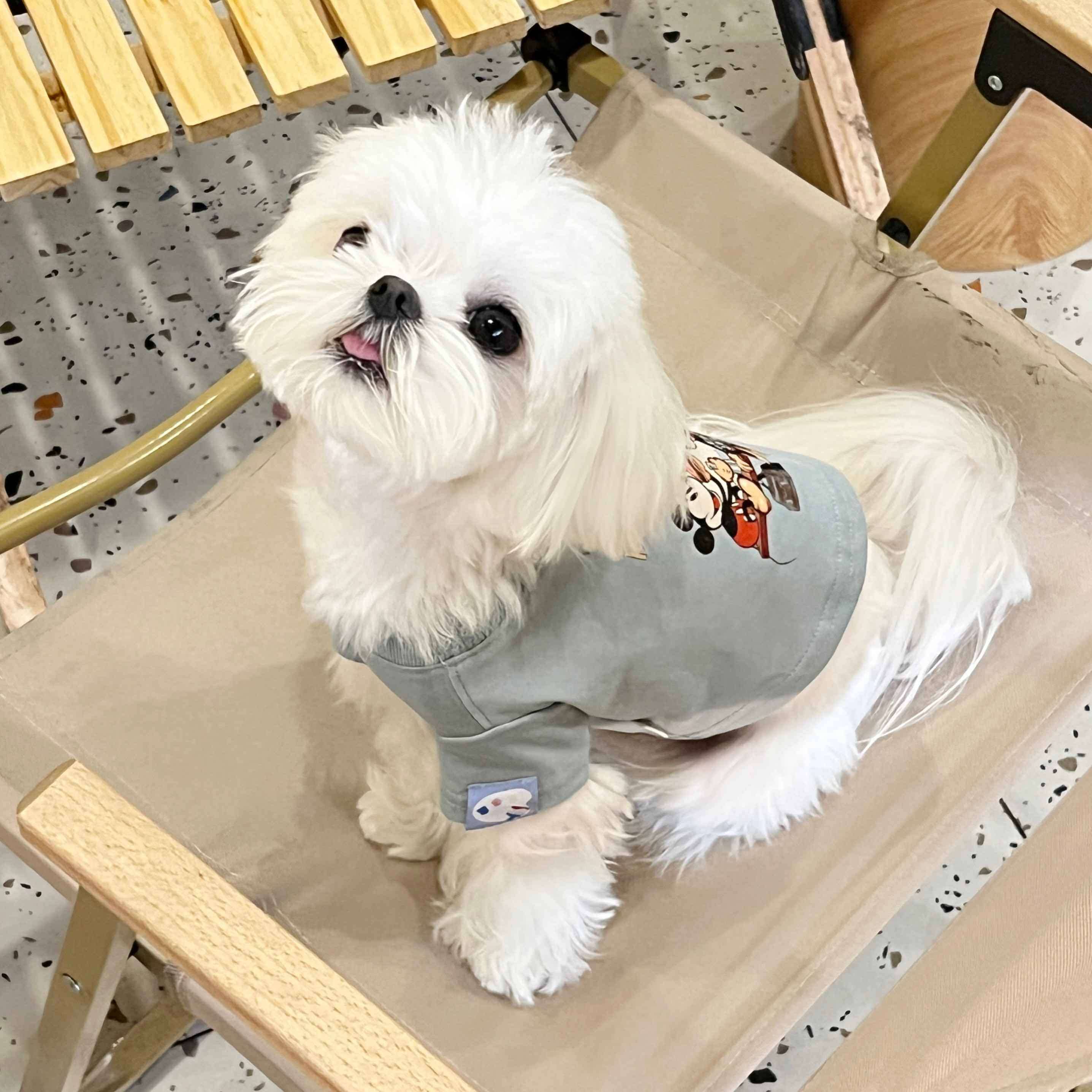 犬服  ミッキーマウス柄のわんちゃん用Tシャツ