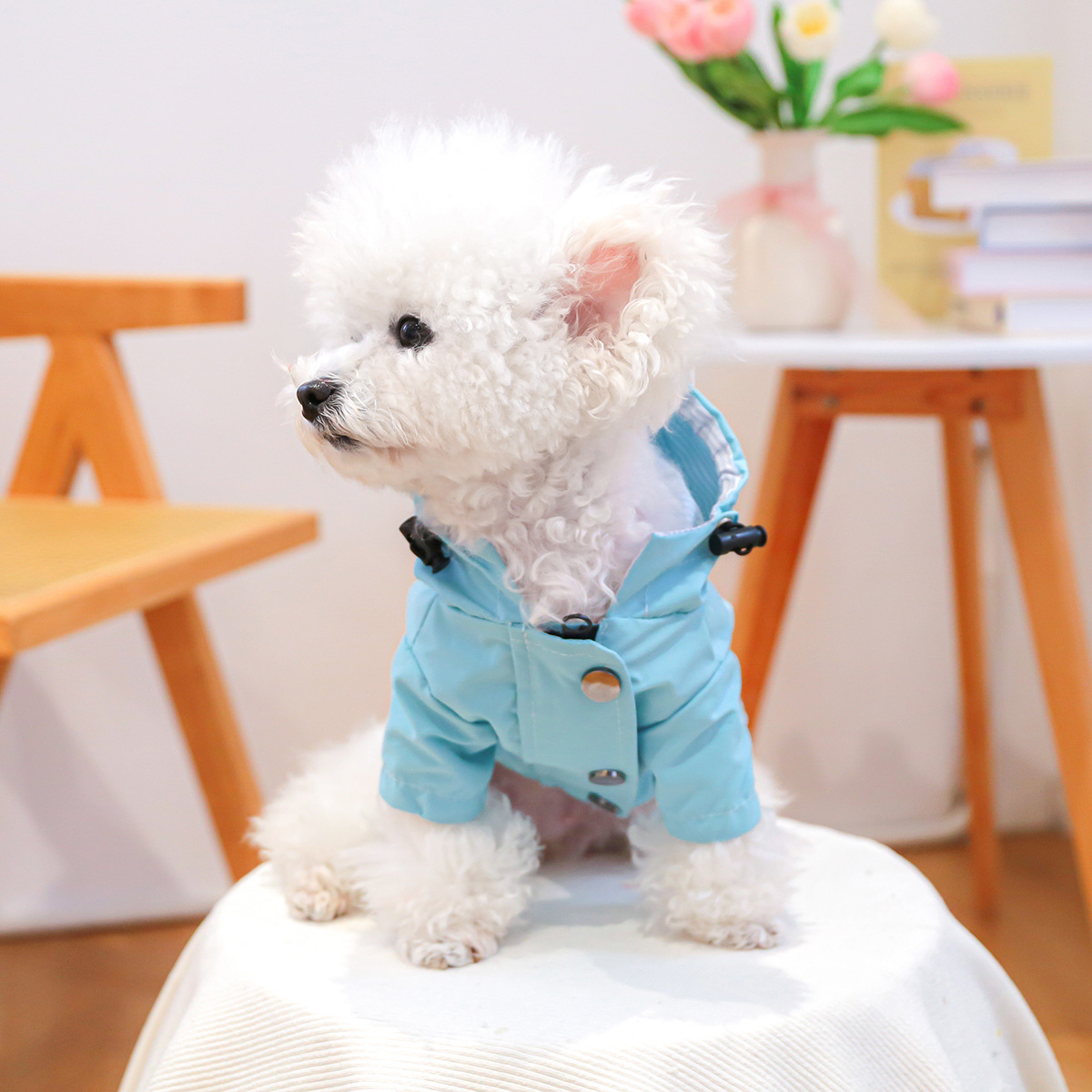 https://fulmo-img-server.com/perry-dog/1ce27cc4-3ab4-48c6-b47f-c9ee01a70e04.jpg