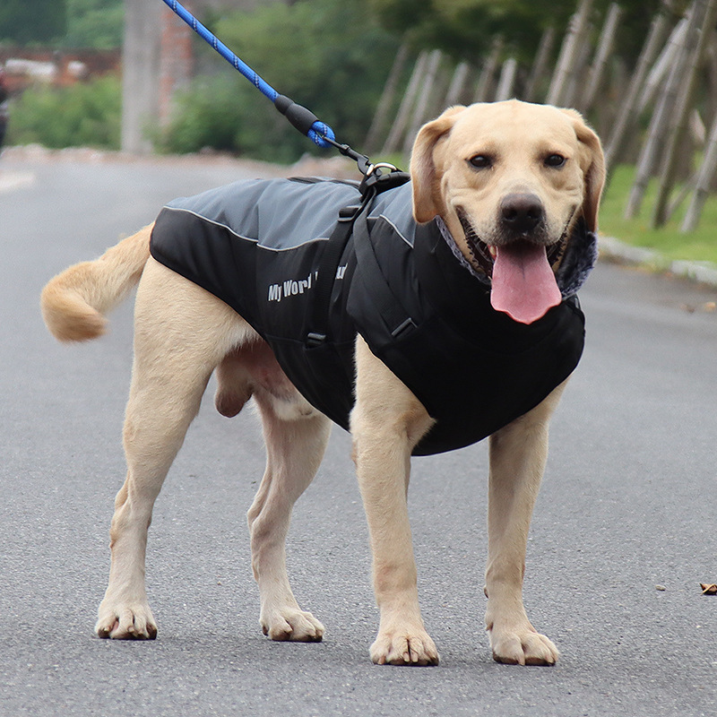 犬服  大型犬用アウトドアジャケット