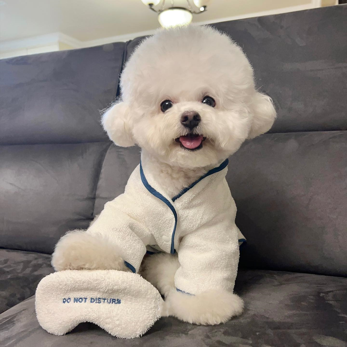 犬服 もこもこスパ風バスローブパジャマ