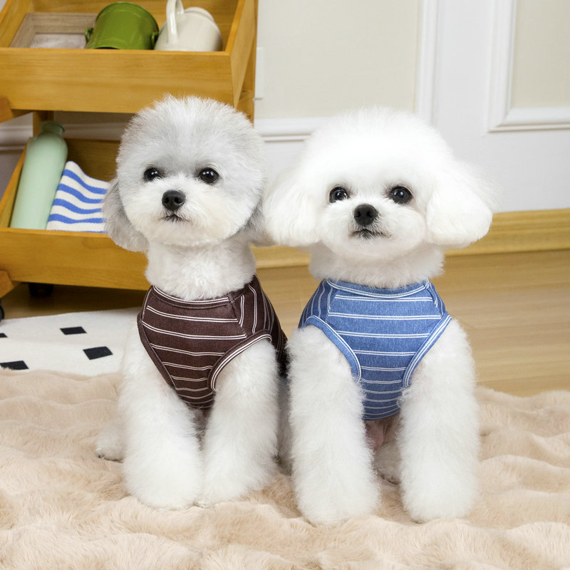 https://fulmo-img-server.com/perry-dog/1e8e9c4a-a3ca-465b-b2f8-97ab7050456d.jpg
