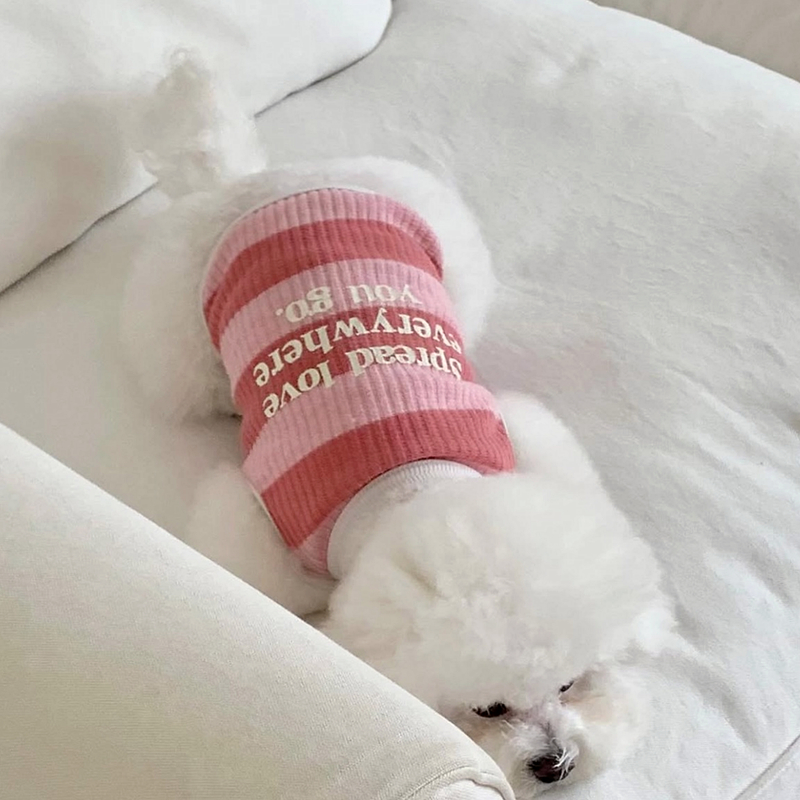 犬服 愛犬へのメッセージ入りボーダーＴシャツ