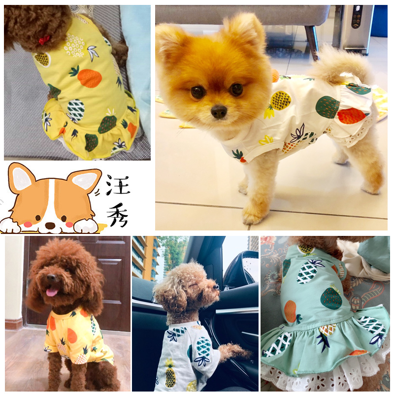 犬服 果物柄レース裾フリル付きノースリーブワンピース