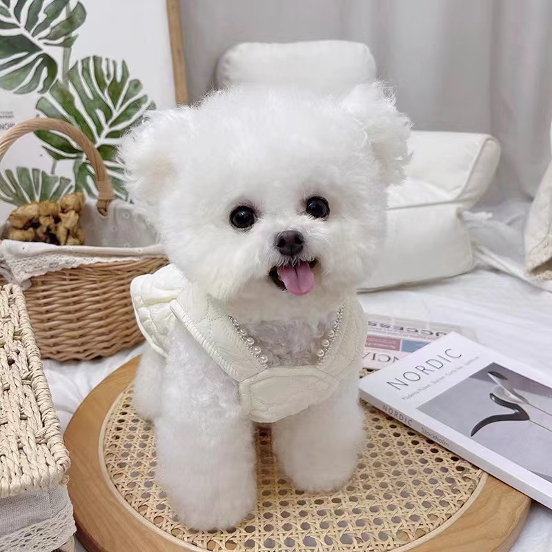 犬服 キルティング素材の大きなリボン付き上品ワンピース