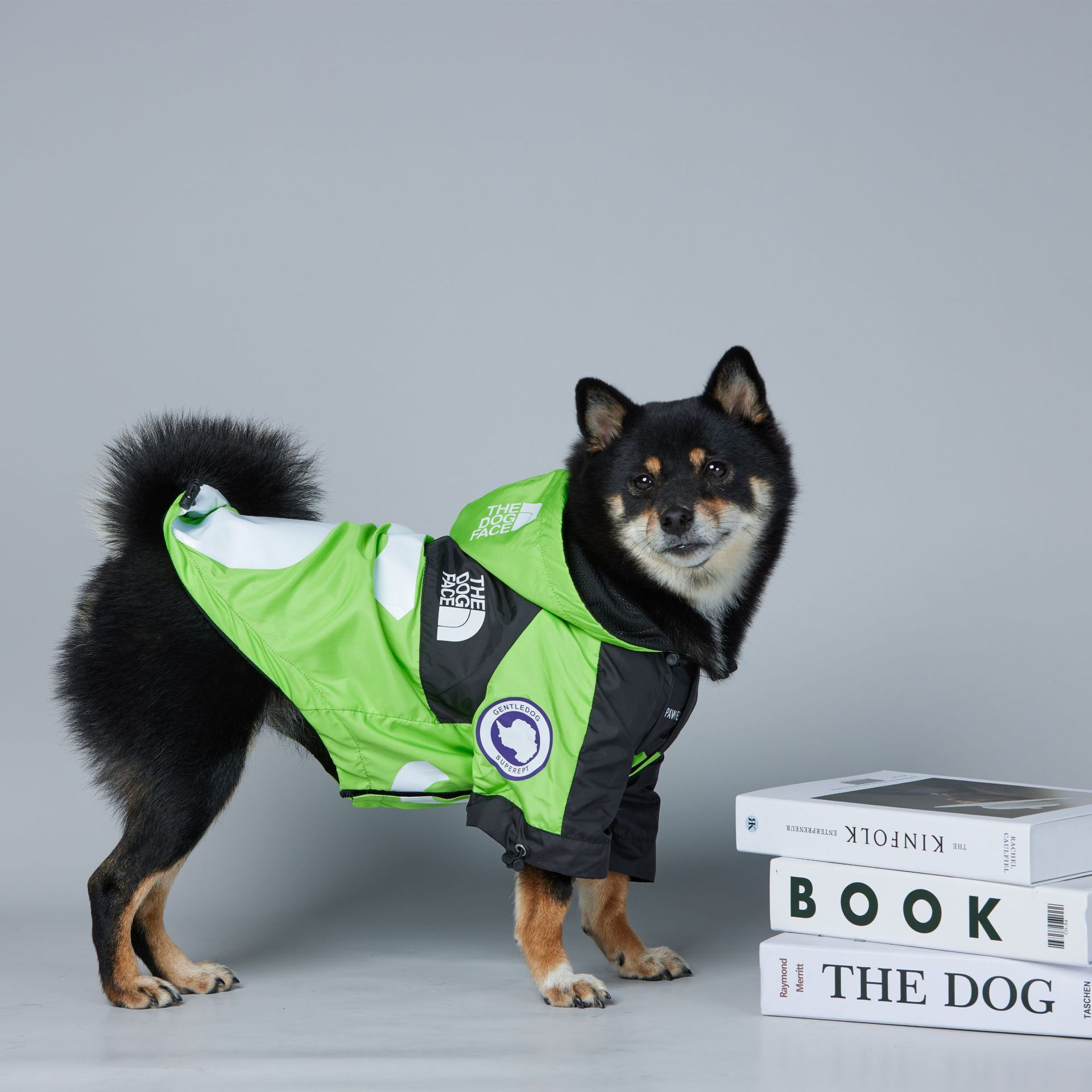 https://fulmo-img-server.com/perry-dog/21abe18c-736e-4da6-bdc2-f77b0a209fe7.jpg