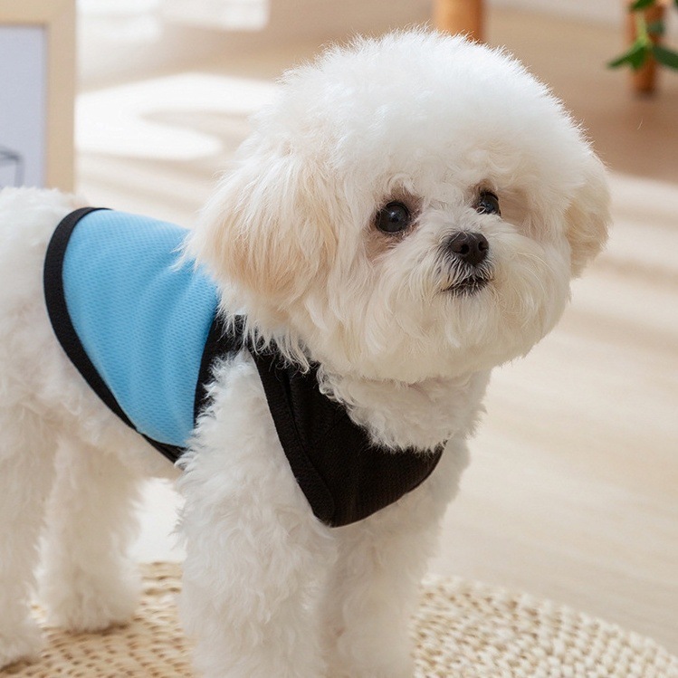 https://fulmo-img-server.com/perry-dog/220c1452-bb3c-47df-8456-f64c91393d7f.jpg