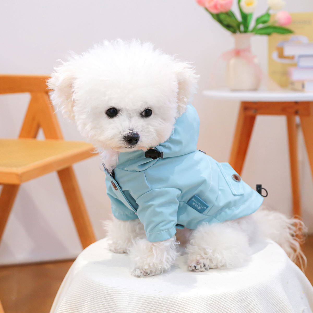 https://fulmo-img-server.com/perry-dog/22680030-6392-42ff-91c1-5f9a02bc58bb.jpg