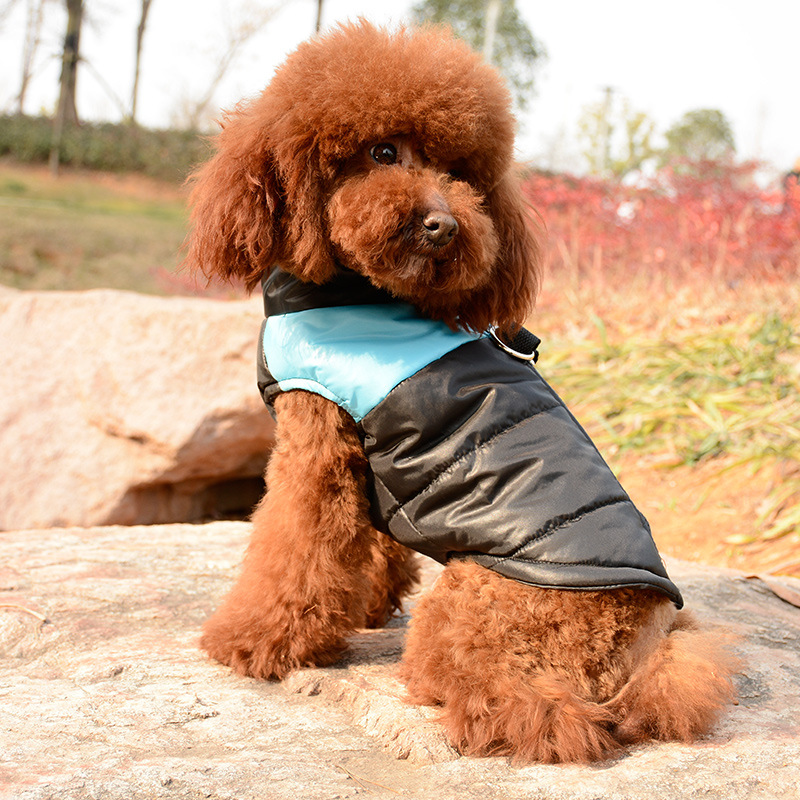 犬服 切替配色デザインの軽量防寒ダウンベスト