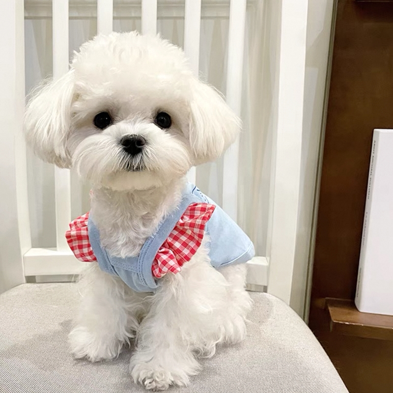 犬服 パステルフリル付きセーラーTシャツ