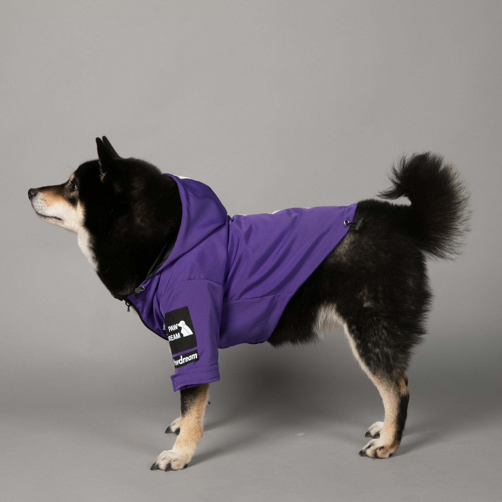https://fulmo-img-server.com/perry-dog/2336b999-b36a-476a-8943-b6278c842abe.jpg