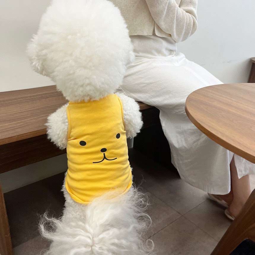 犬服  もこもこわんちゃんの笑顔Tシャツ