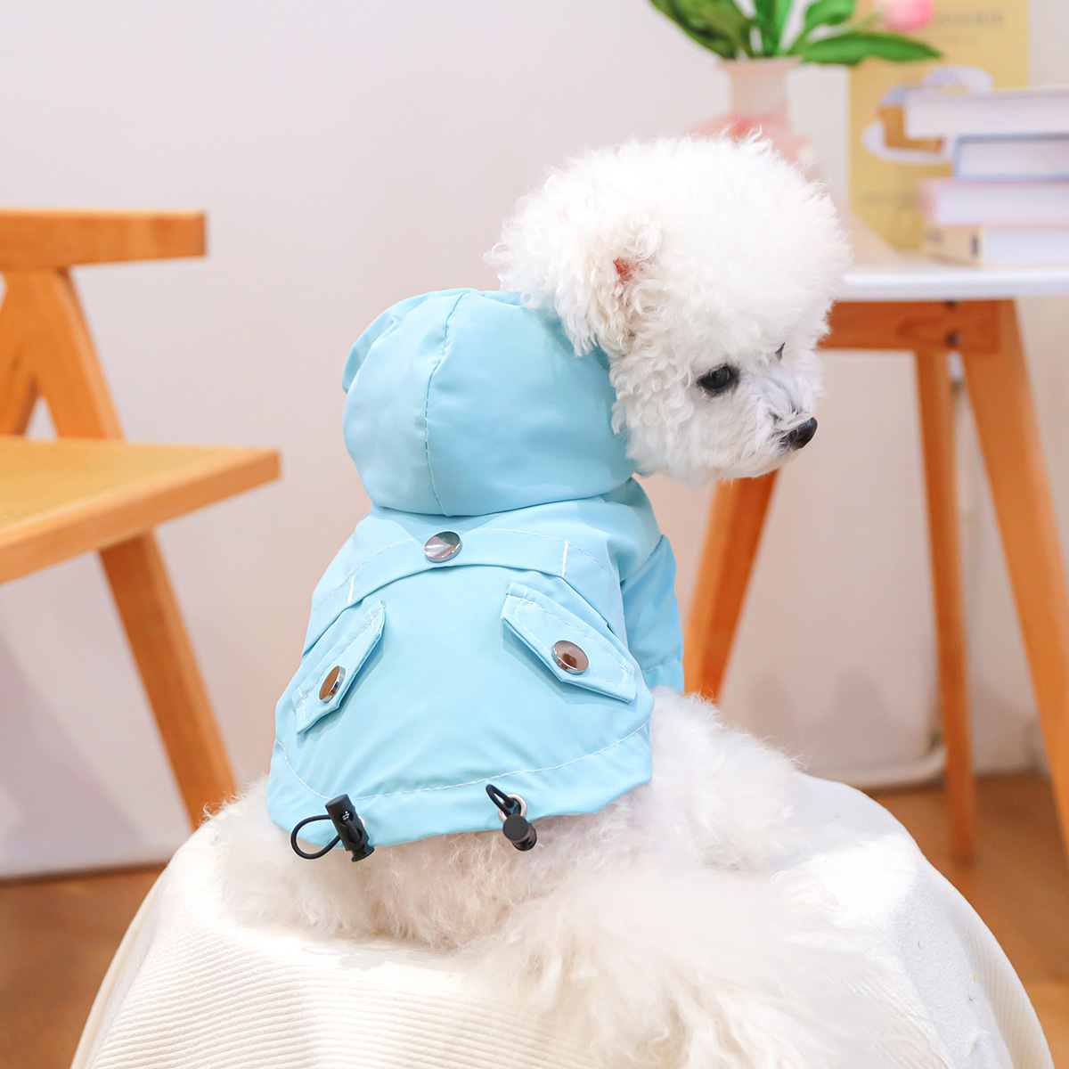 https://fulmo-img-server.com/perry-dog/23d62161-ef88-4415-8707-a7c71f5afca3.jpg