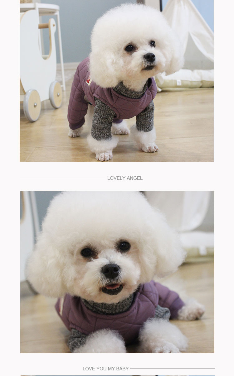 キルティング切替ニット袖付き四足犬服