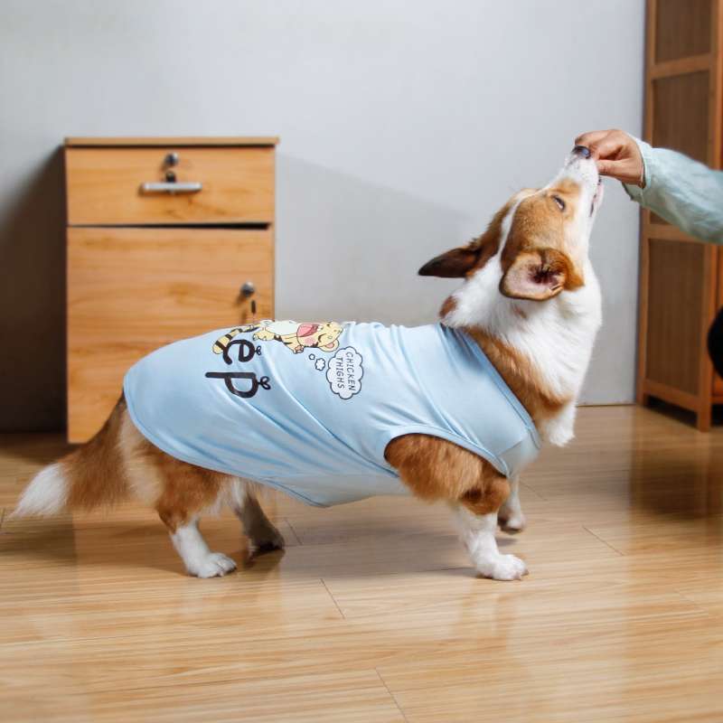  遊び心満載！おもしろ犬服セット