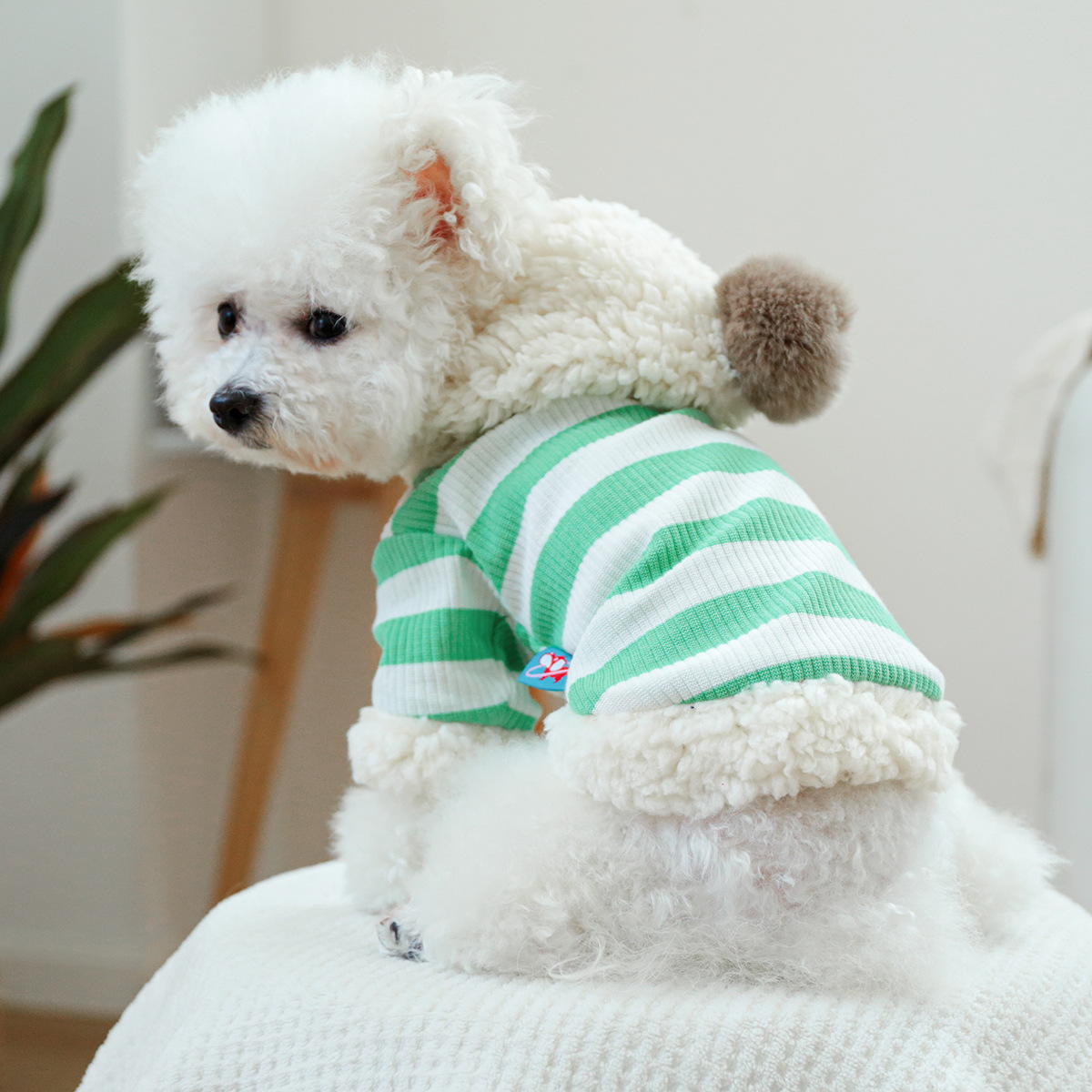 https://fulmo-img-server.com/perry-dog/25fd662d-003a-41d5-b437-76f091b03721.jpg