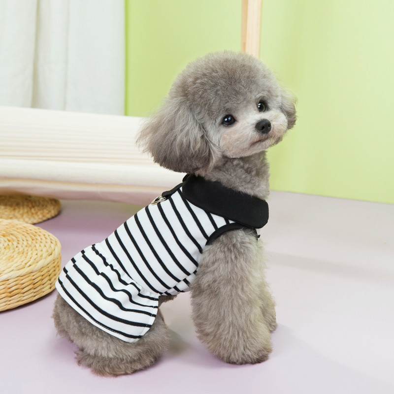 https://fulmo-img-server.com/perry-dog/261e3c92-b9f8-41b7-8bd7-39655ea50910.jpg