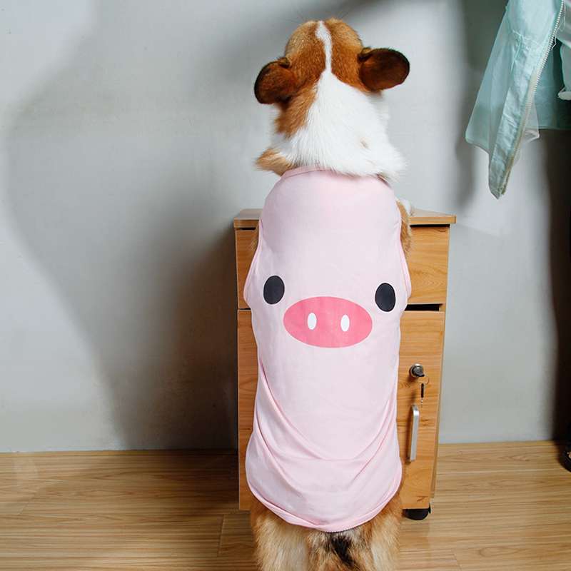  遊び心満載！おもしろ犬服セット