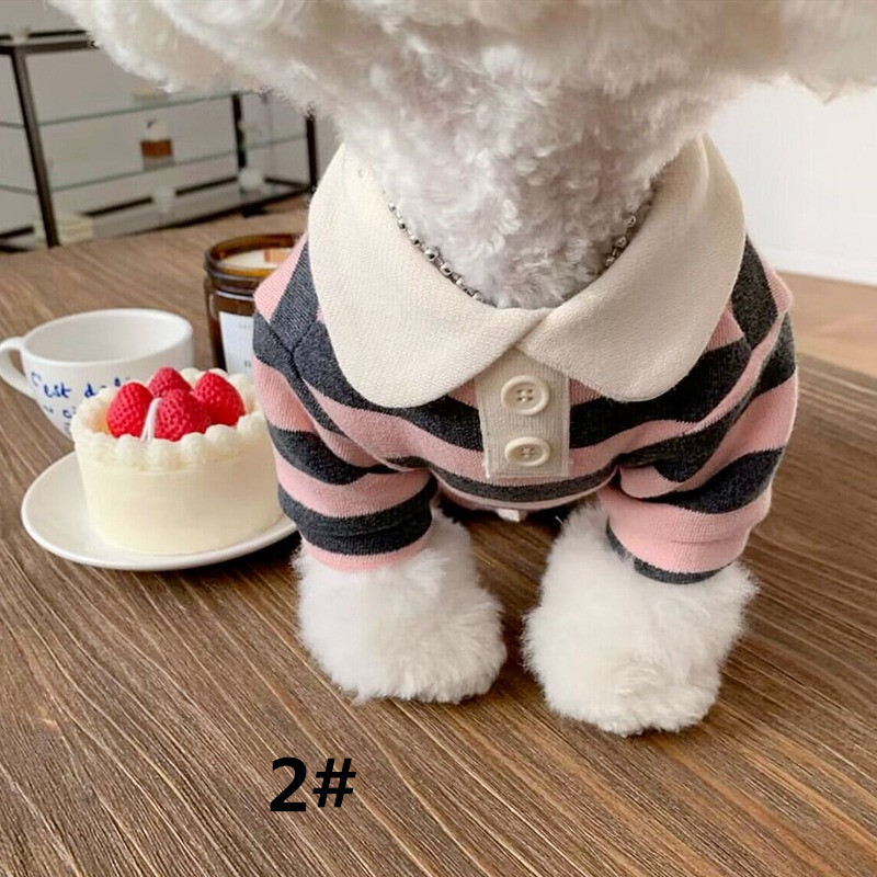 https://fulmo-img-server.com/perry-dog/26b3a5de-a7ff-49dc-a671-5ad37fe8203e.jpg