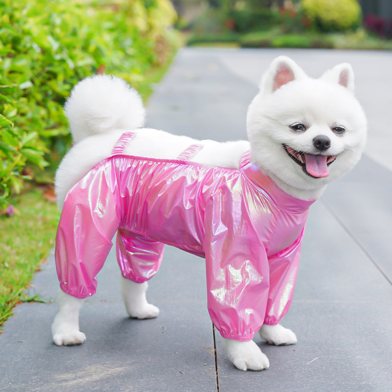 https://fulmo-img-server.com/perry-dog/278494bb-3542-40e2-89ec-b1914f7323d9.jpg