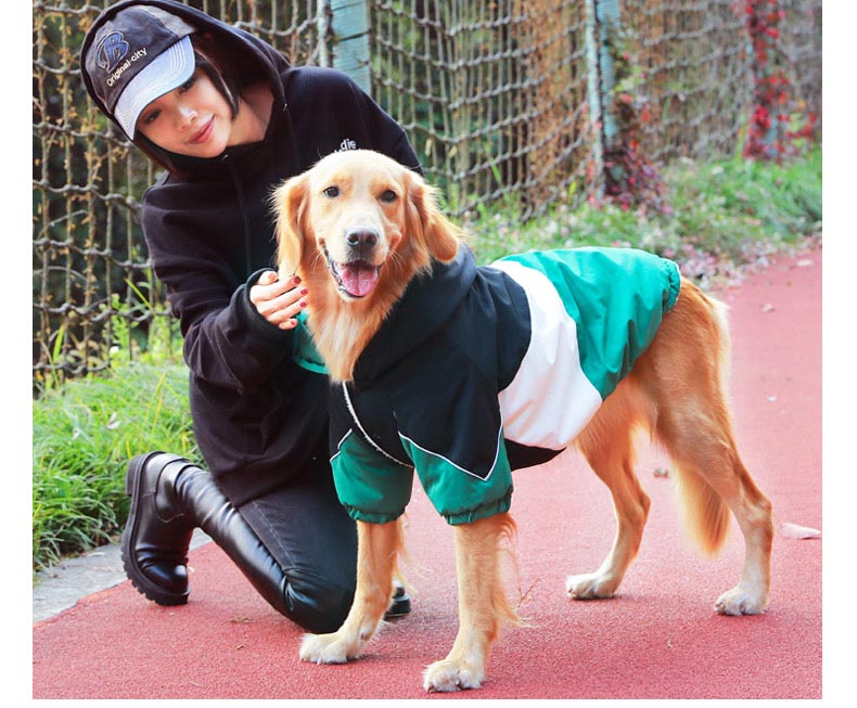 犬服 大型犬用スポーティー配色切替フード付きジャンプスーツ