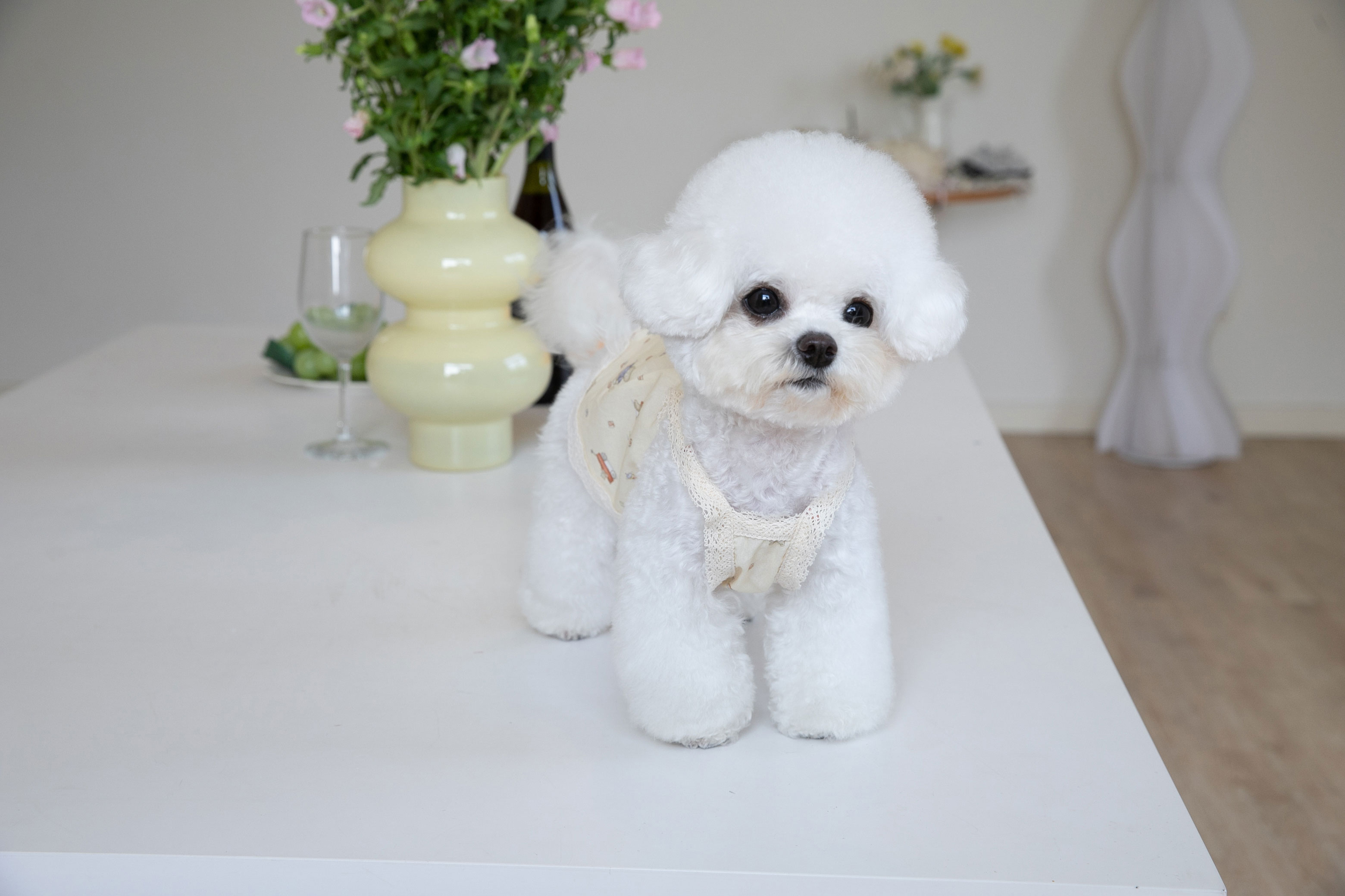 犬服 おやすみ小花レースパジャマ