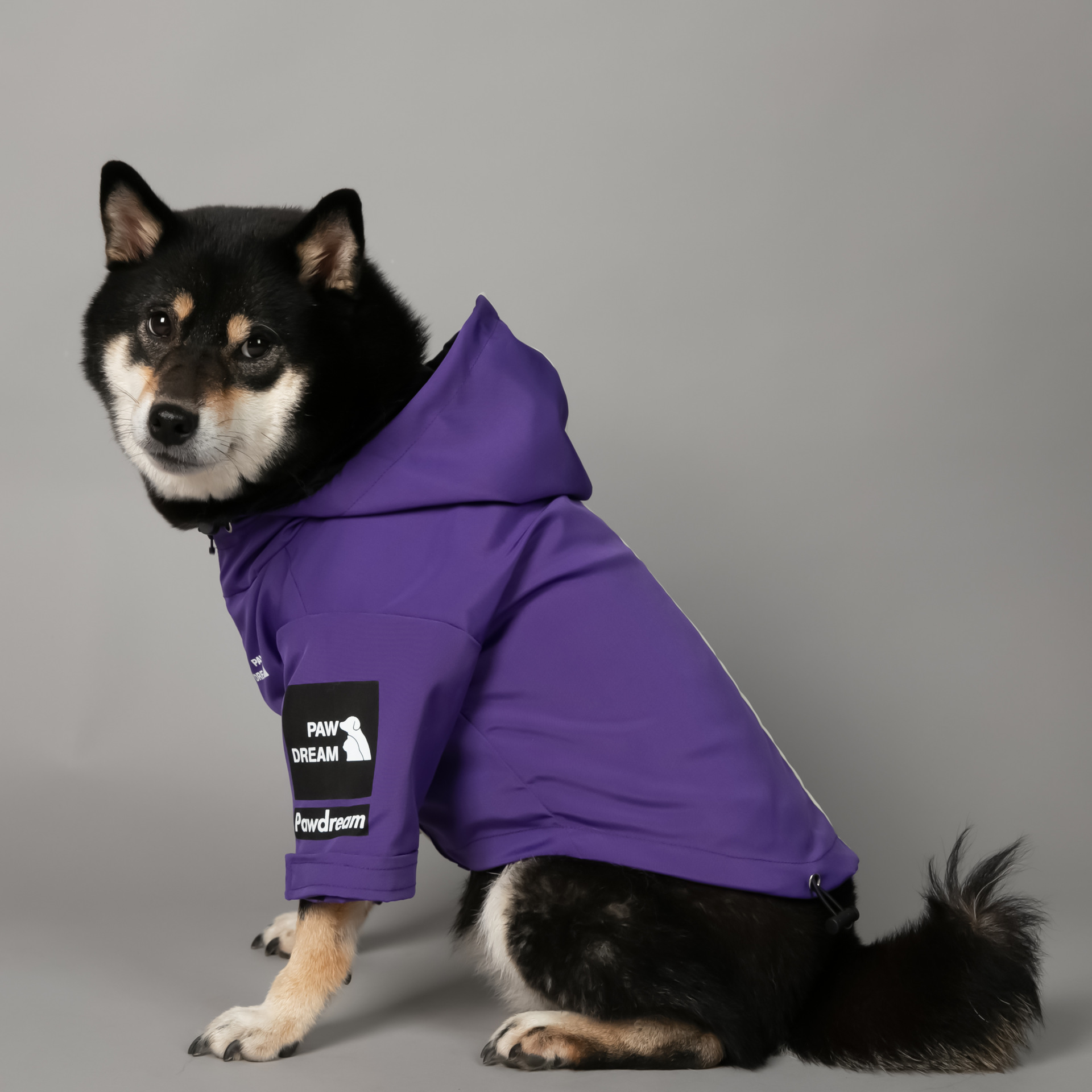 https://fulmo-img-server.com/perry-dog/28a9b714-a07e-4ac3-ae94-c824f4d3d174.jpg