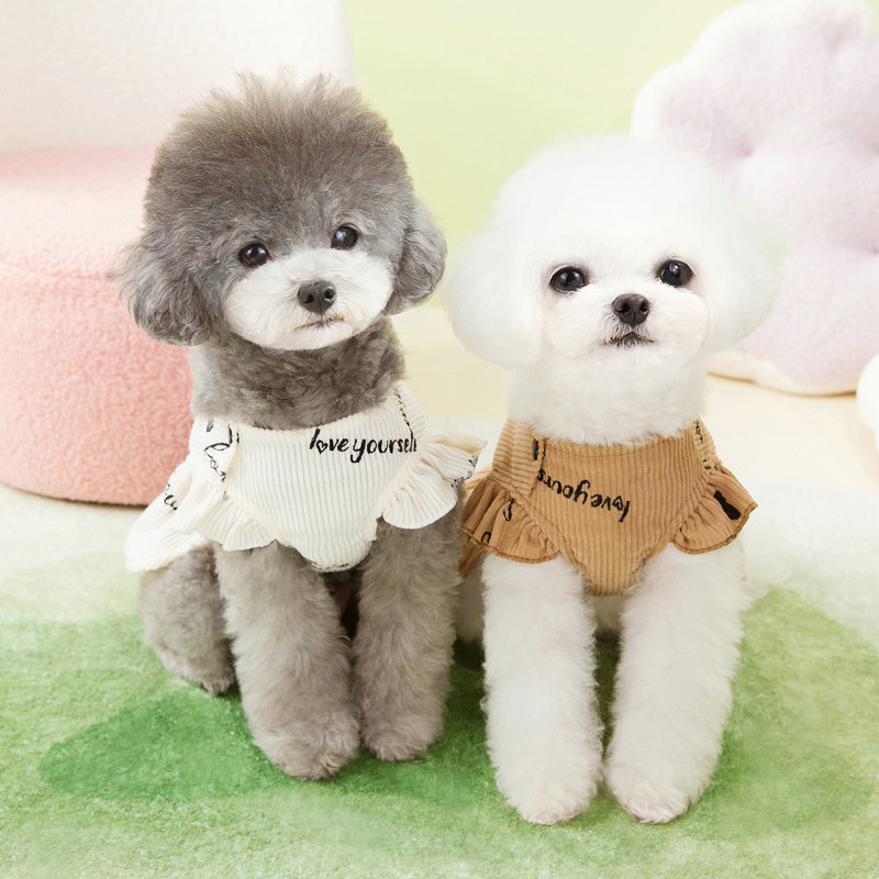 https://fulmo-img-server.com/perry-dog/293d5391-0ae7-46f6-990b-6f89b6a1f933.jpg