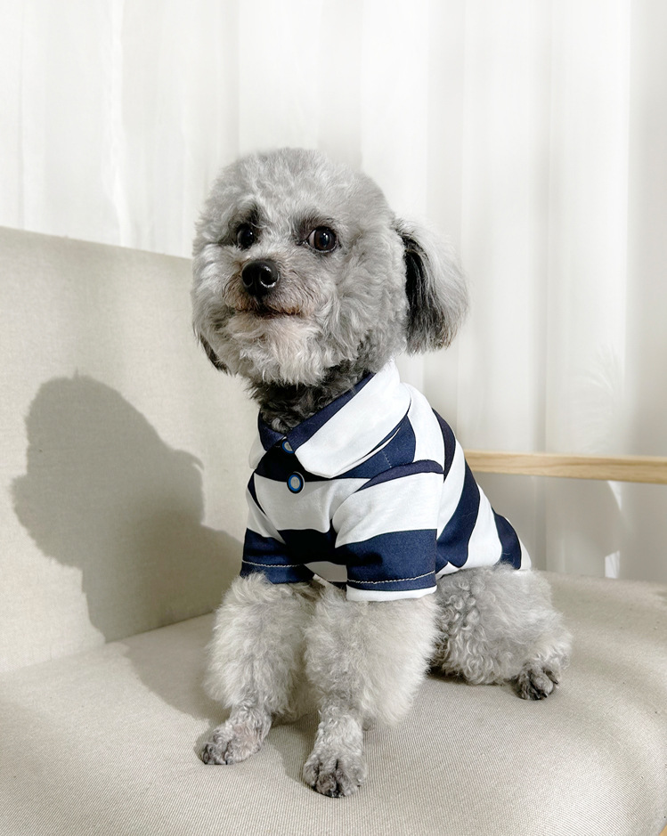 https://fulmo-img-server.com/perry-dog/29580b77-380d-4b12-85de-81884fba14d9.jpg