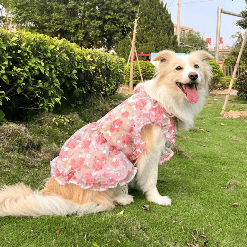 犬服　大型犬向け花柄ワンピース