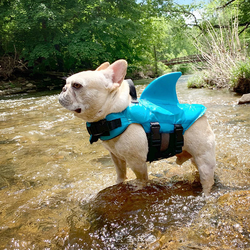 犬服 鮫背びれ付き水遊び用冷感ライフジャケット