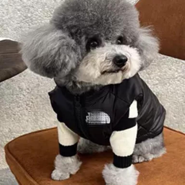 犬服 小型犬用スポーティー中綿入りベスト