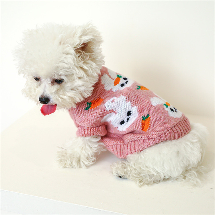 https://fulmo-img-server.com/perry-dog/2bfe8e58-33f0-43a4-9f93-521f3f1822e5.jpg