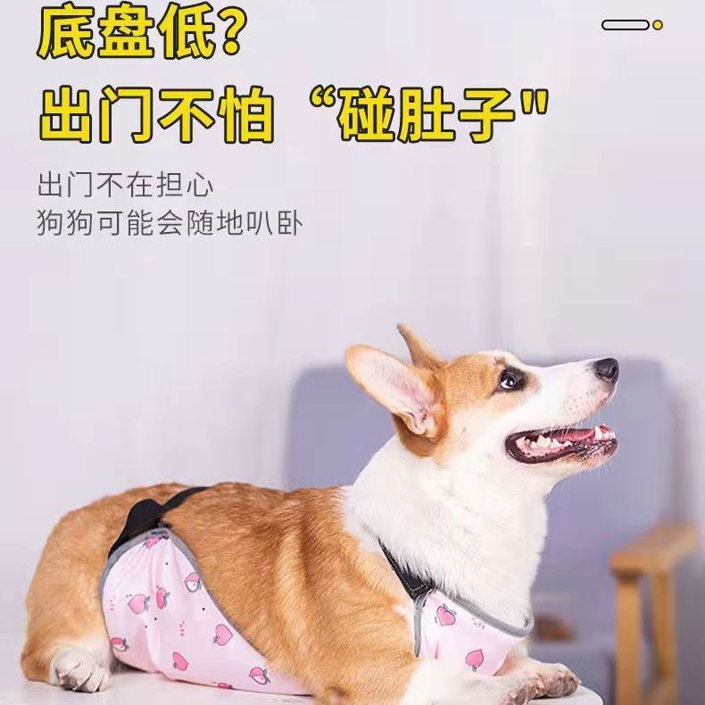 https://fulmo-img-server.com/perry-dog/2c086221-12c1-48d2-9cf5-72903ad99fcc.jpg