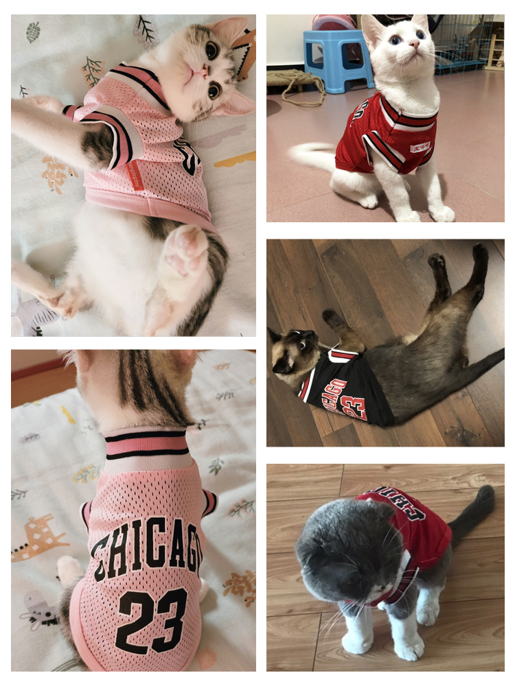 犬服 スポーティ夏風クールベスト