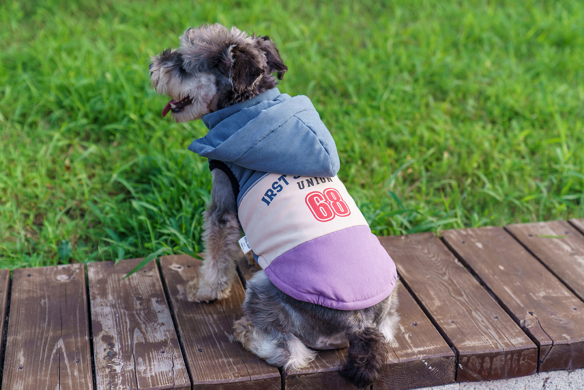 犬服 カレッジ風ナンバープリント配色パーカー